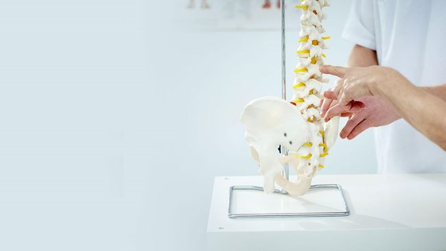 Médico señala un modelo de columna sobre una mesa, analizando la anatomía de la columna.