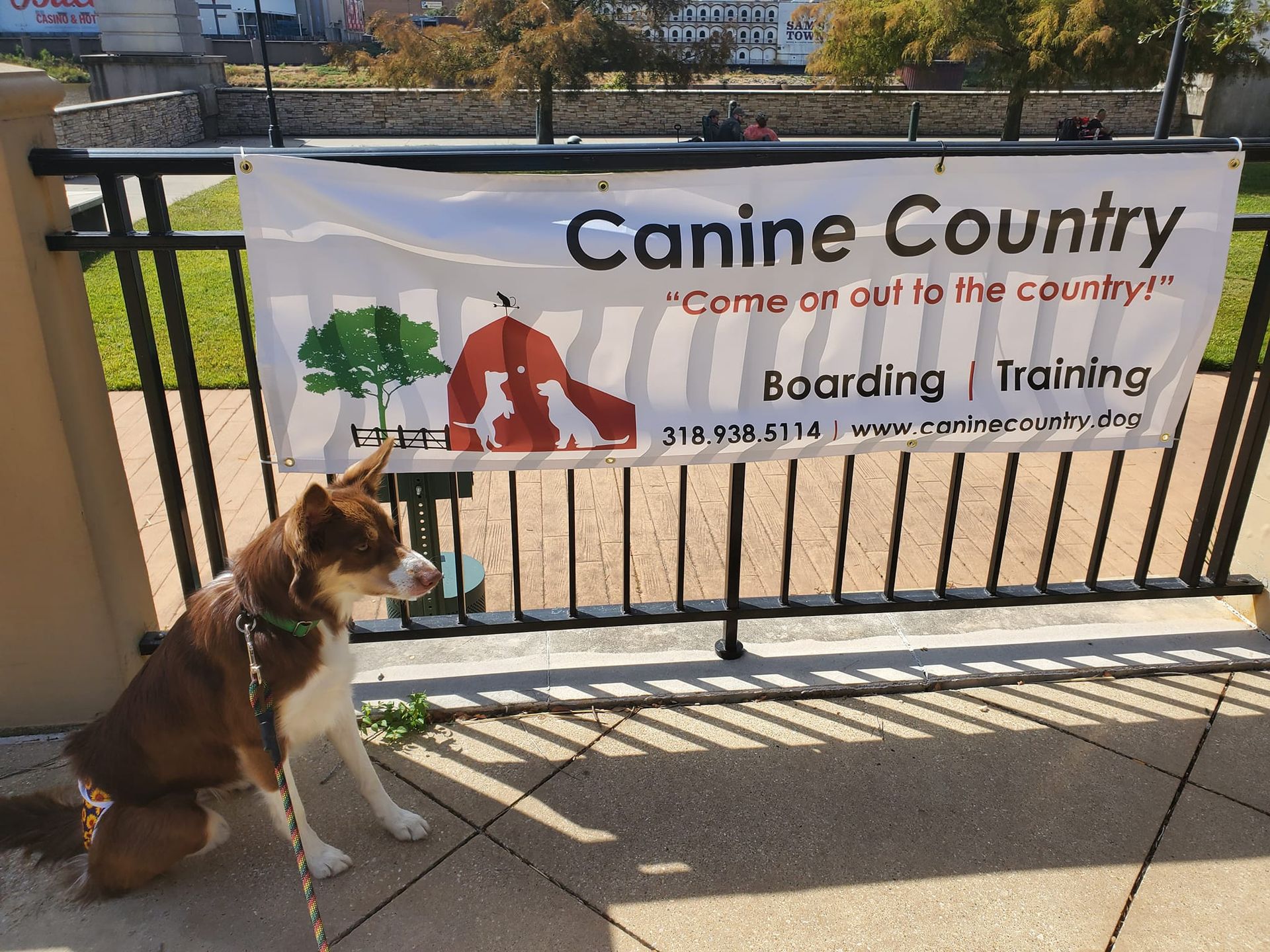 Dog sitting in front of 