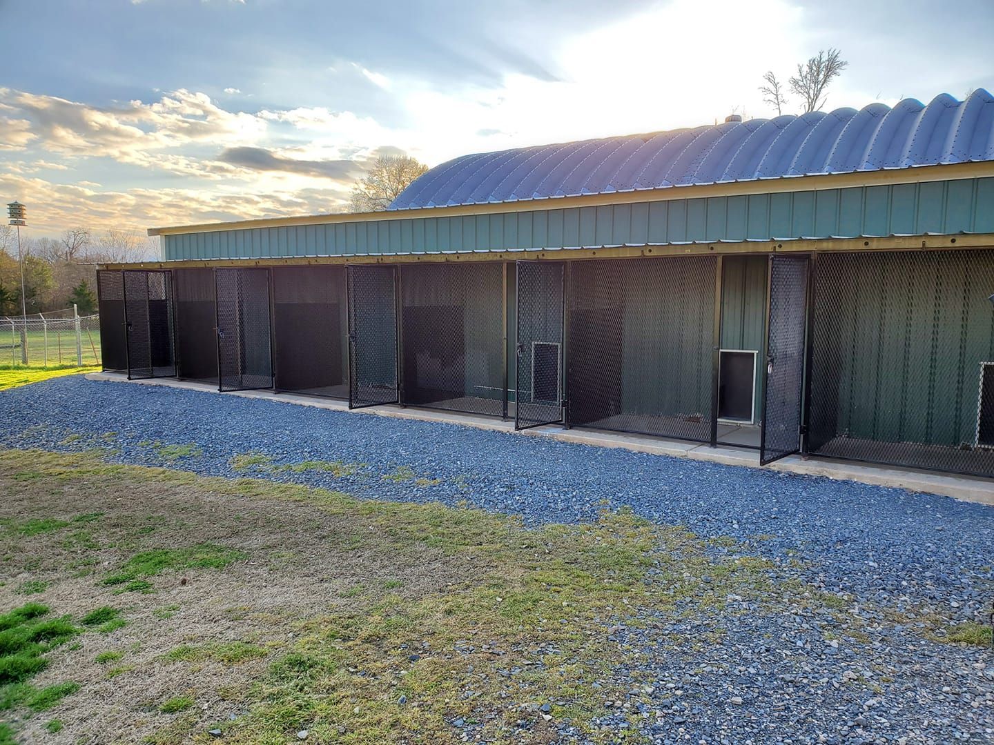 Outdoor dog kennels under a green roof with a gravel walkway and wire mesh walls.