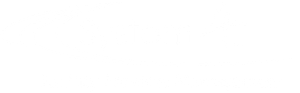 Blank white rectangular banner with a thin gray border on the left and right edges.