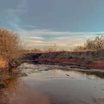 A river with trees on the shore and a bridge in the background.