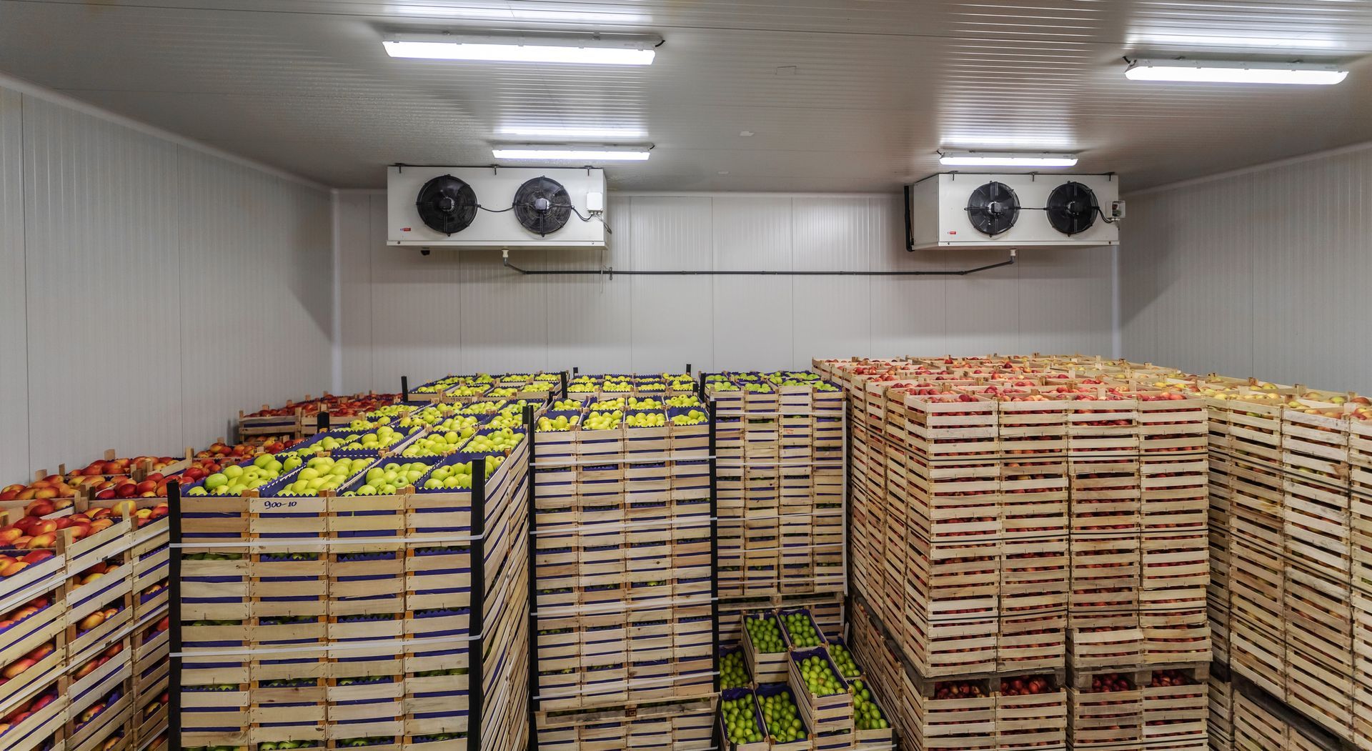 Cold storage interior - Commercial Cooler Maintenance In Chino, Ca