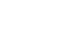 Vital Eagles Healthcare logo