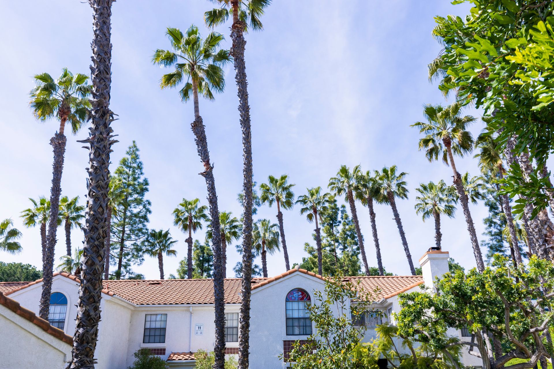 Building exterior with palm trees and sunny skies