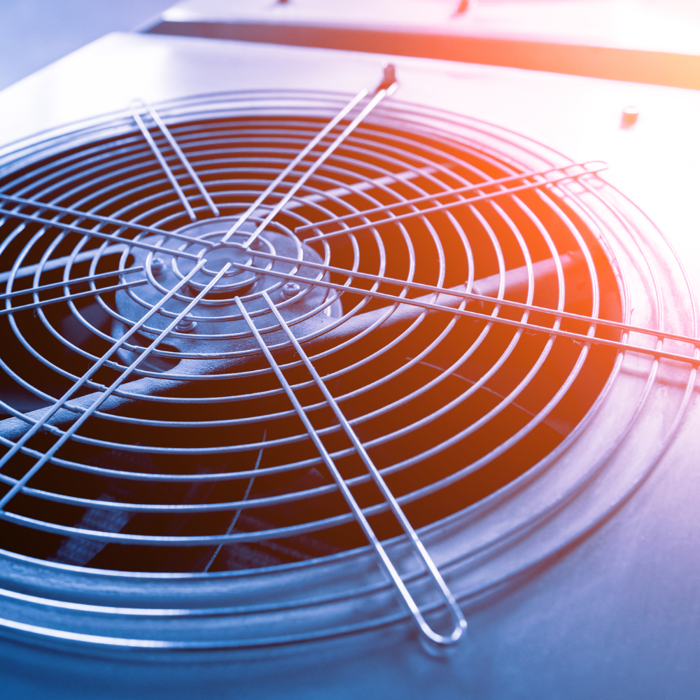 A close up of a fan with the sun shining through it