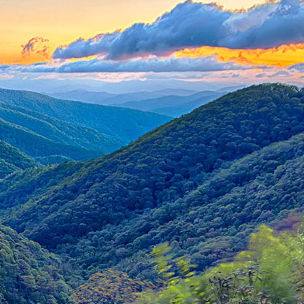 The mountains are covered in trees and there is a sunset in the background.