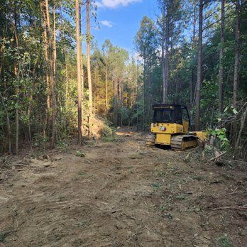 Yellow bulldozer clearing land in a forest; trees surround the cleared path under a blue sky.