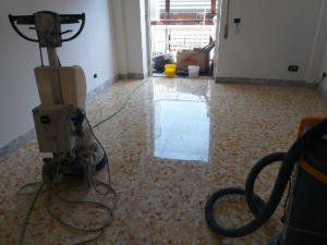 disinfestazione di appartamenti privati