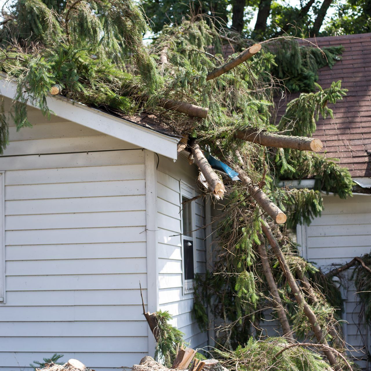 We buy homes with damaged roofs, foundation issues, or major damage.