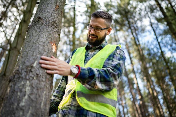 A man in a yellow vest is touching a tree in the woods.