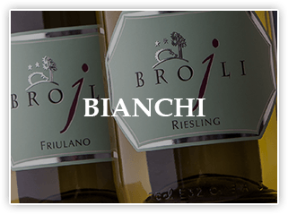 bottles of white wines from Friuli