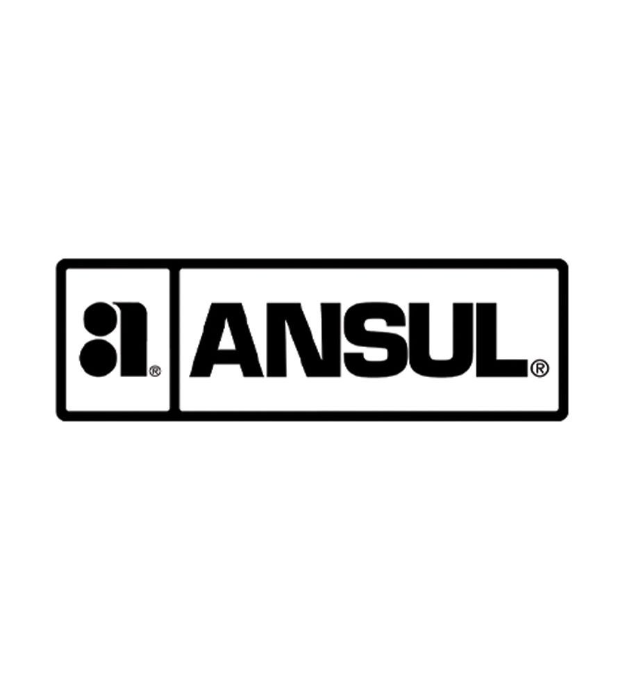 A black and white logo for anisul on a white background.