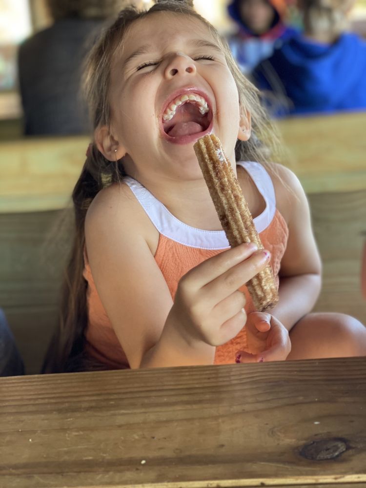 tarpon-turtle-gallery