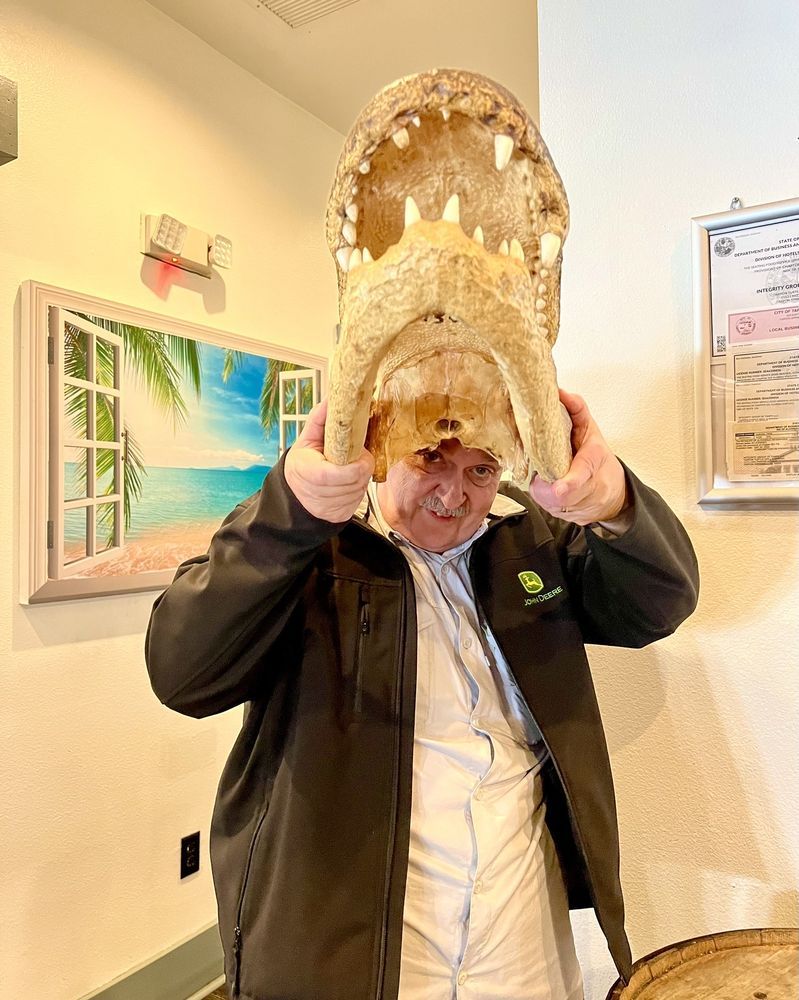 tarpon-turtle-gallery