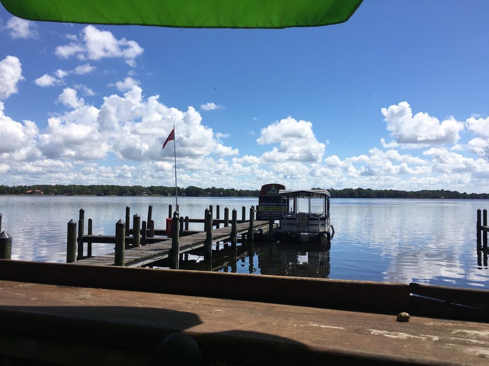 tarpon-turtle-gallery