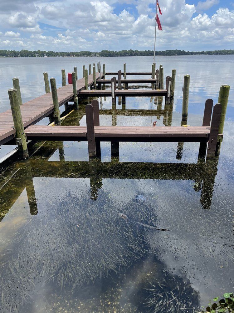 tarpon-turtle-gallery