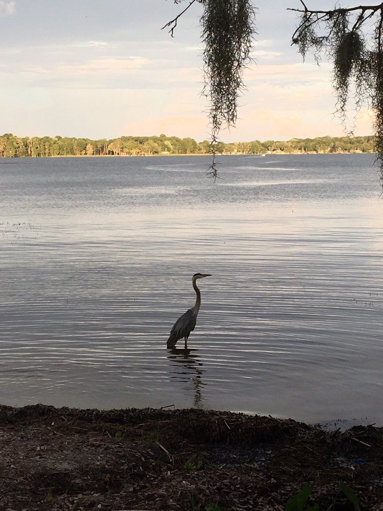 tarpon-turtle-waterfront