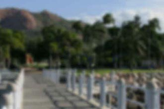 Cataracts — Your Ophthalmologist in Townsville, QLD