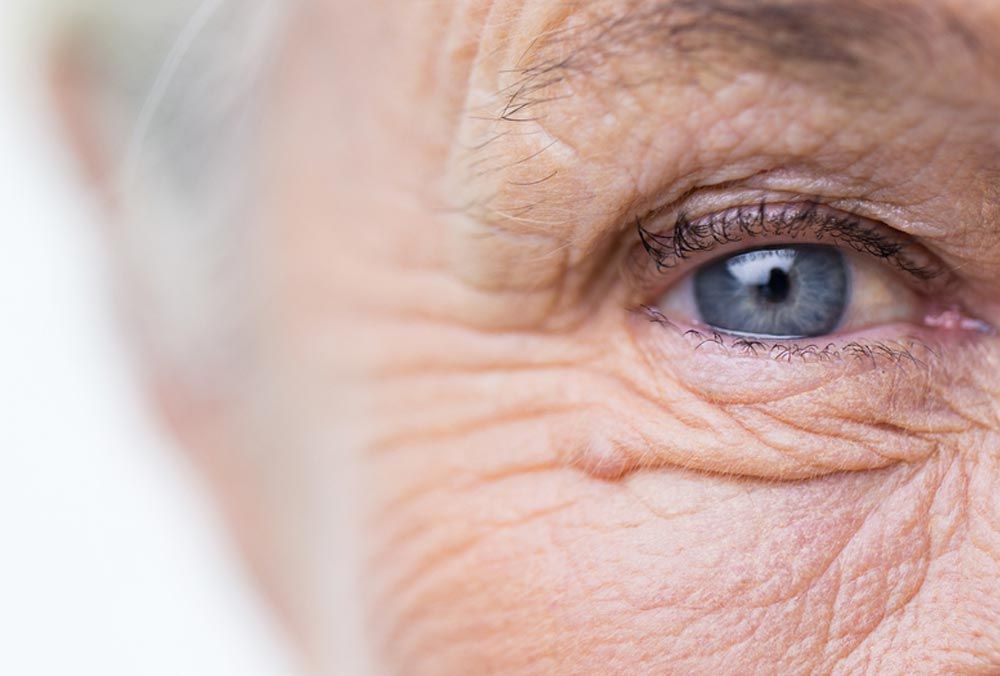 Close Up Photo Of A Senior Woman's Face And Eye