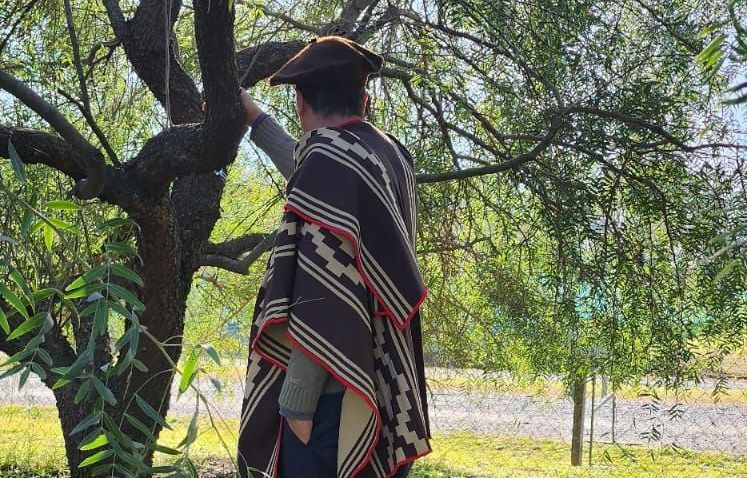 Un hombre con un poncho está de pie junto a un árbol.