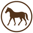 Un caballo marrón en un círculo sobre un fondo blanco.