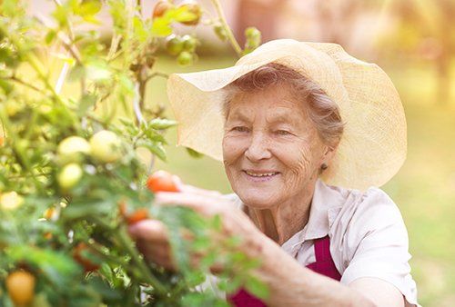 Elderly Caregiver — Old Woman in the Garden in Lakewood, CA