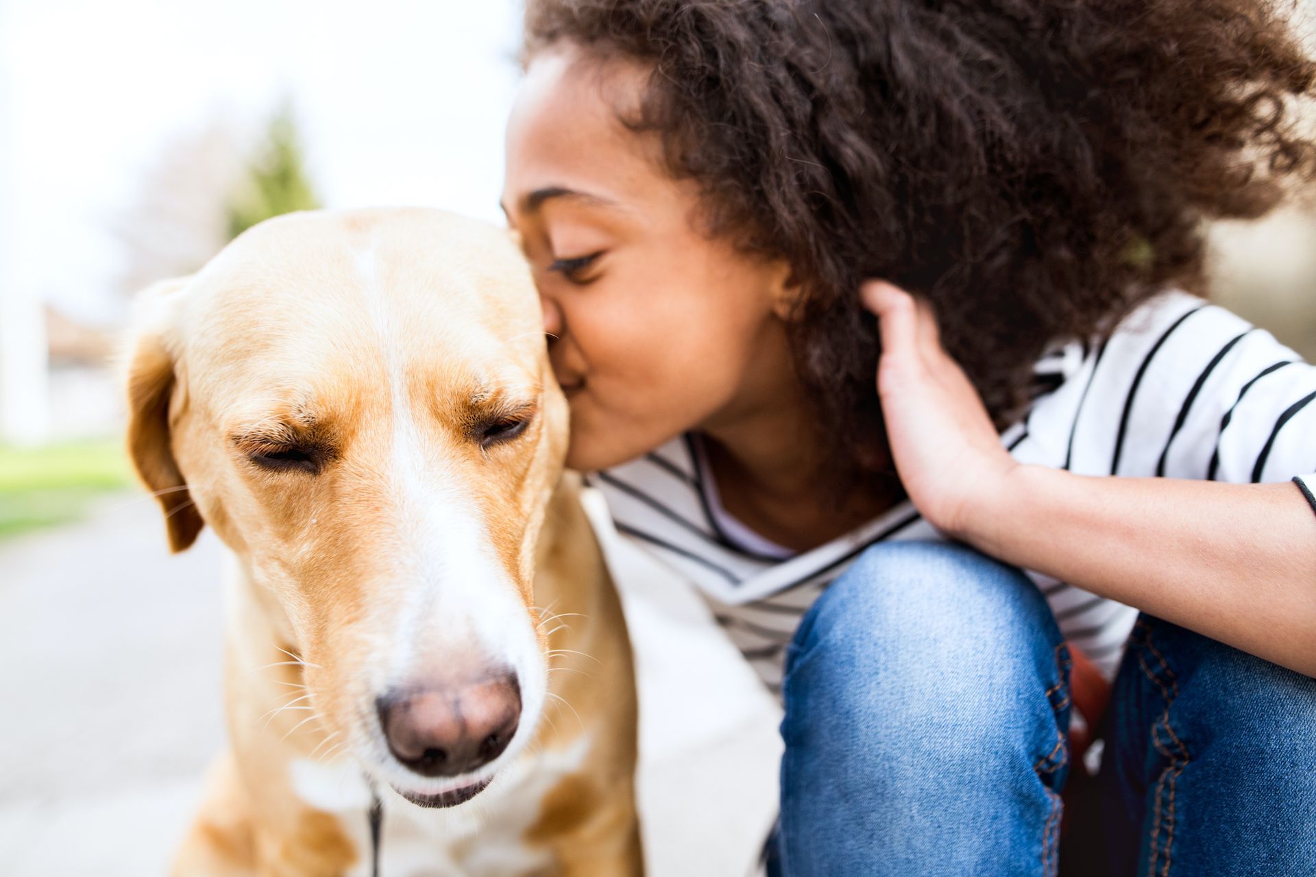 Montessori at Home: Caring for Pets Montessori-Style