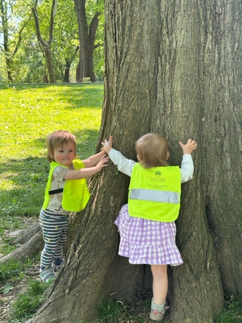 Two children in neon vests touch a large tree in a sunny park