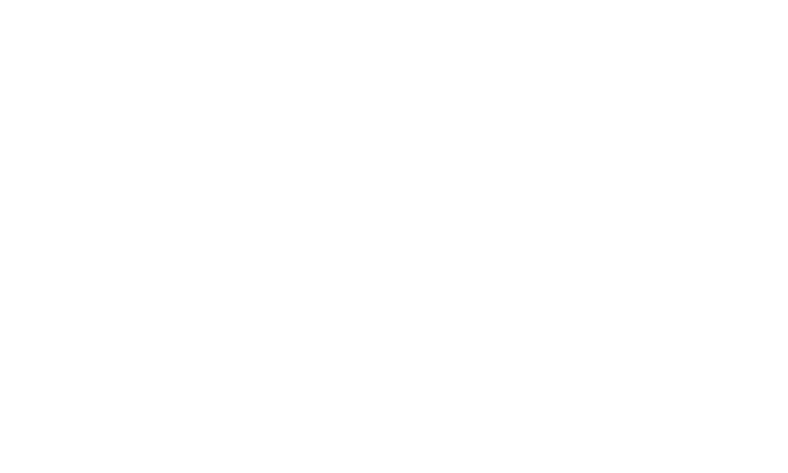 White Zenith logo