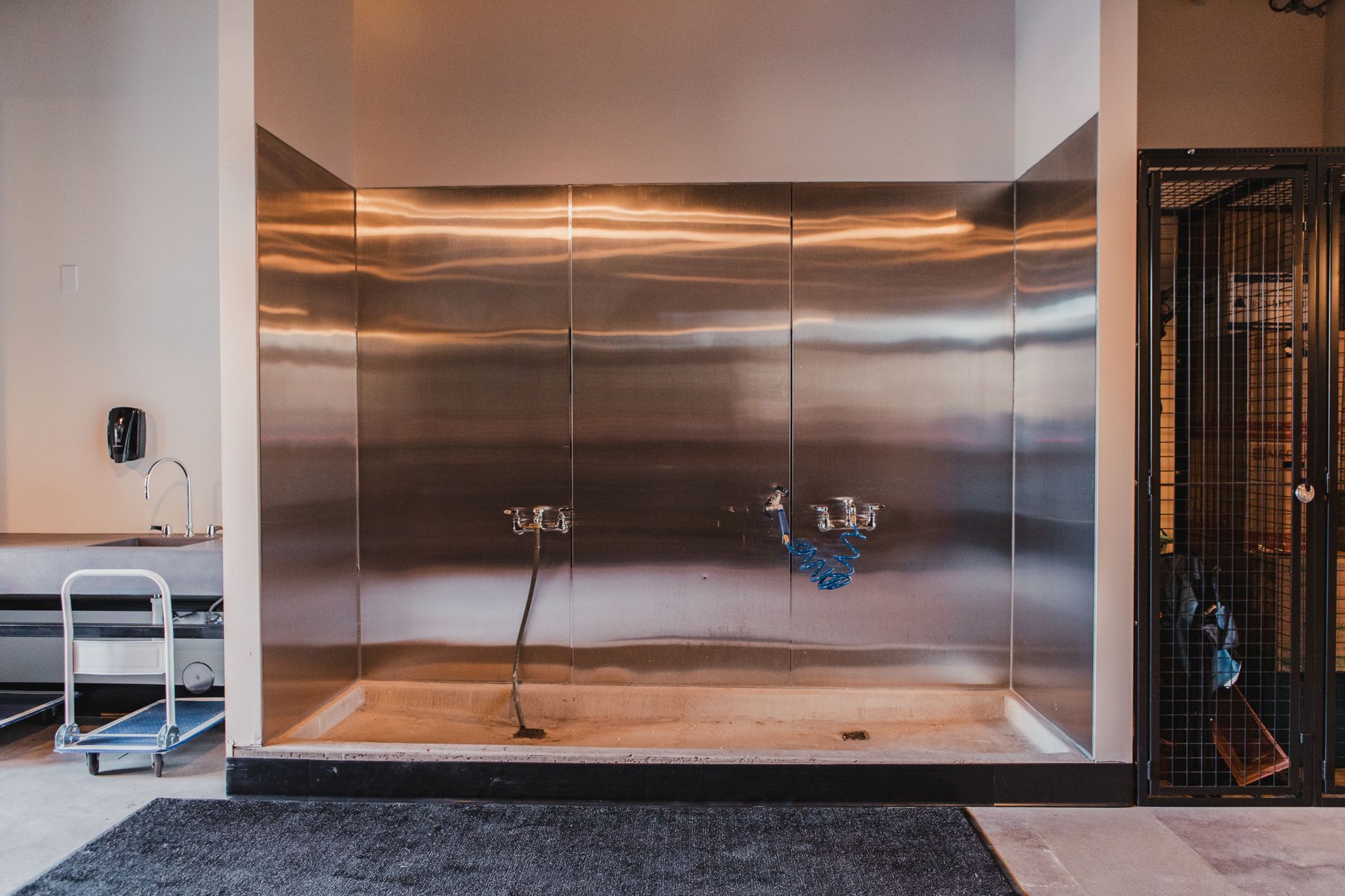Dog wash station with stainless steel walls, hose, and a drain. A black mat sits on the floor.