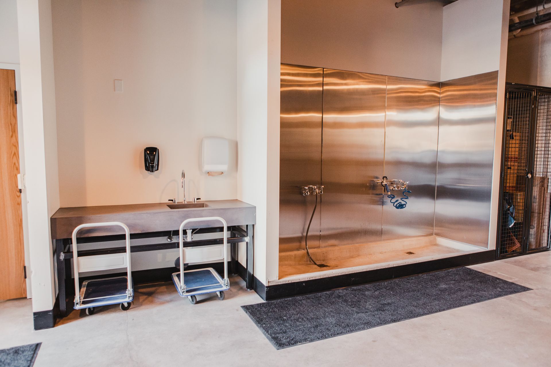 Dog wash station with stainless steel shower, sink, and two small rolling carts.