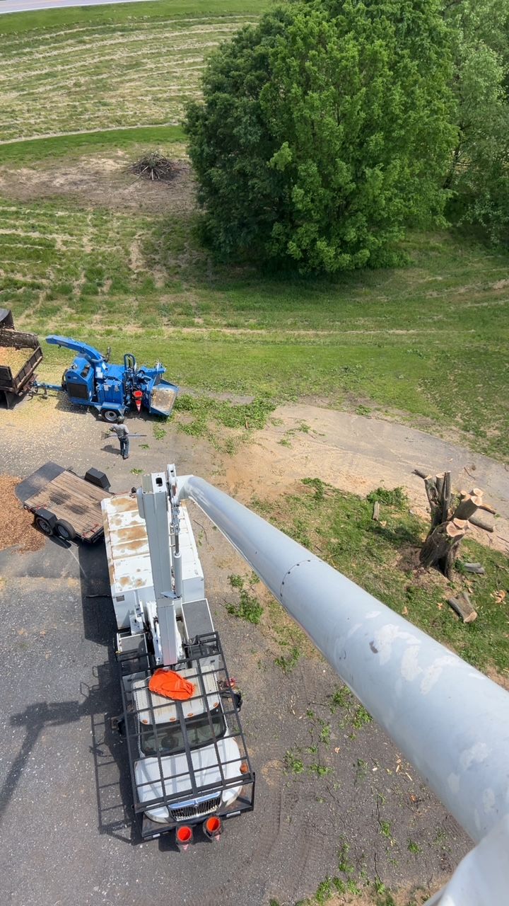 An aerial view of a crane cutting a tree in a field.