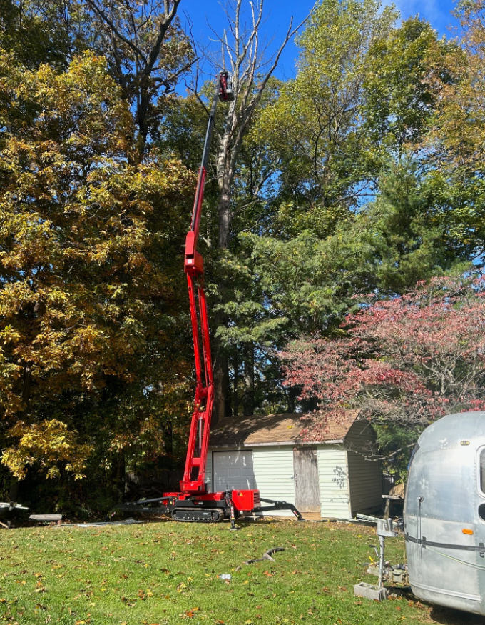 A crane is cutting a tree in a yard next to a trailer.