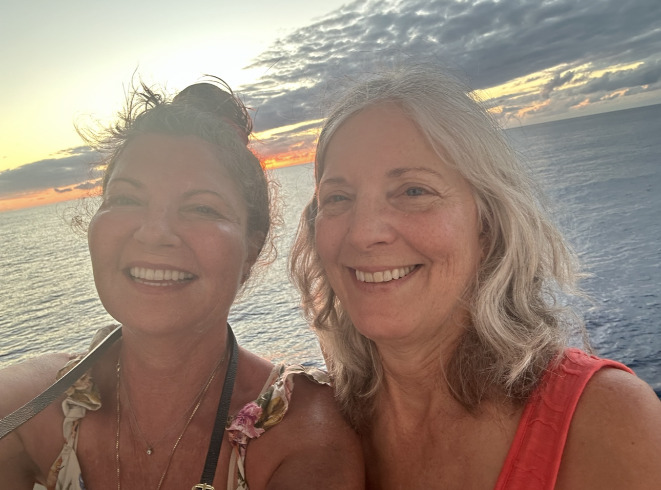 Brown and white puppy sitting on a paved surface, looking forward with a neutral expression.