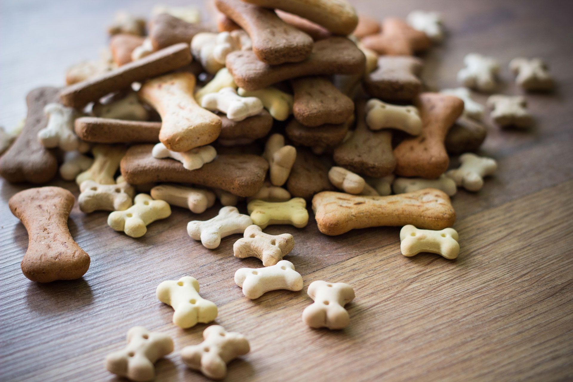 Pile of bone-shaped dog biscuits in various shades of brown and beige on a wooden surface.