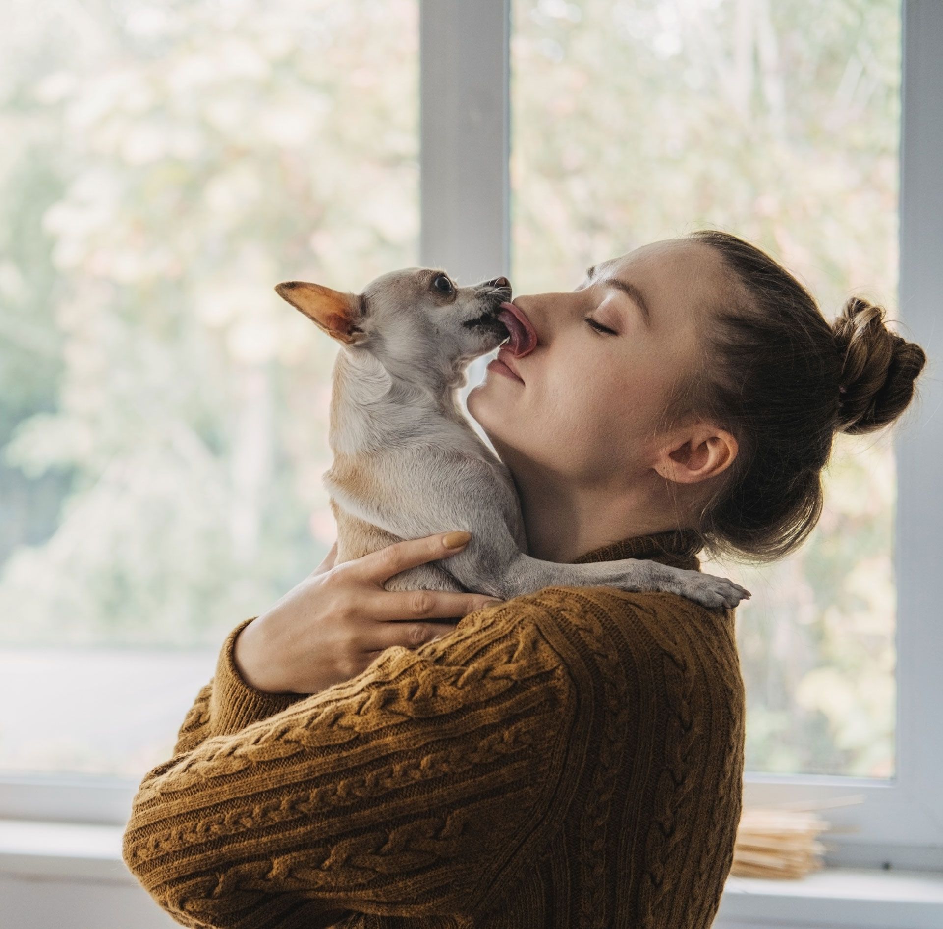 Woman in brown sweater cuddles small dog, who licks her face, near a window.