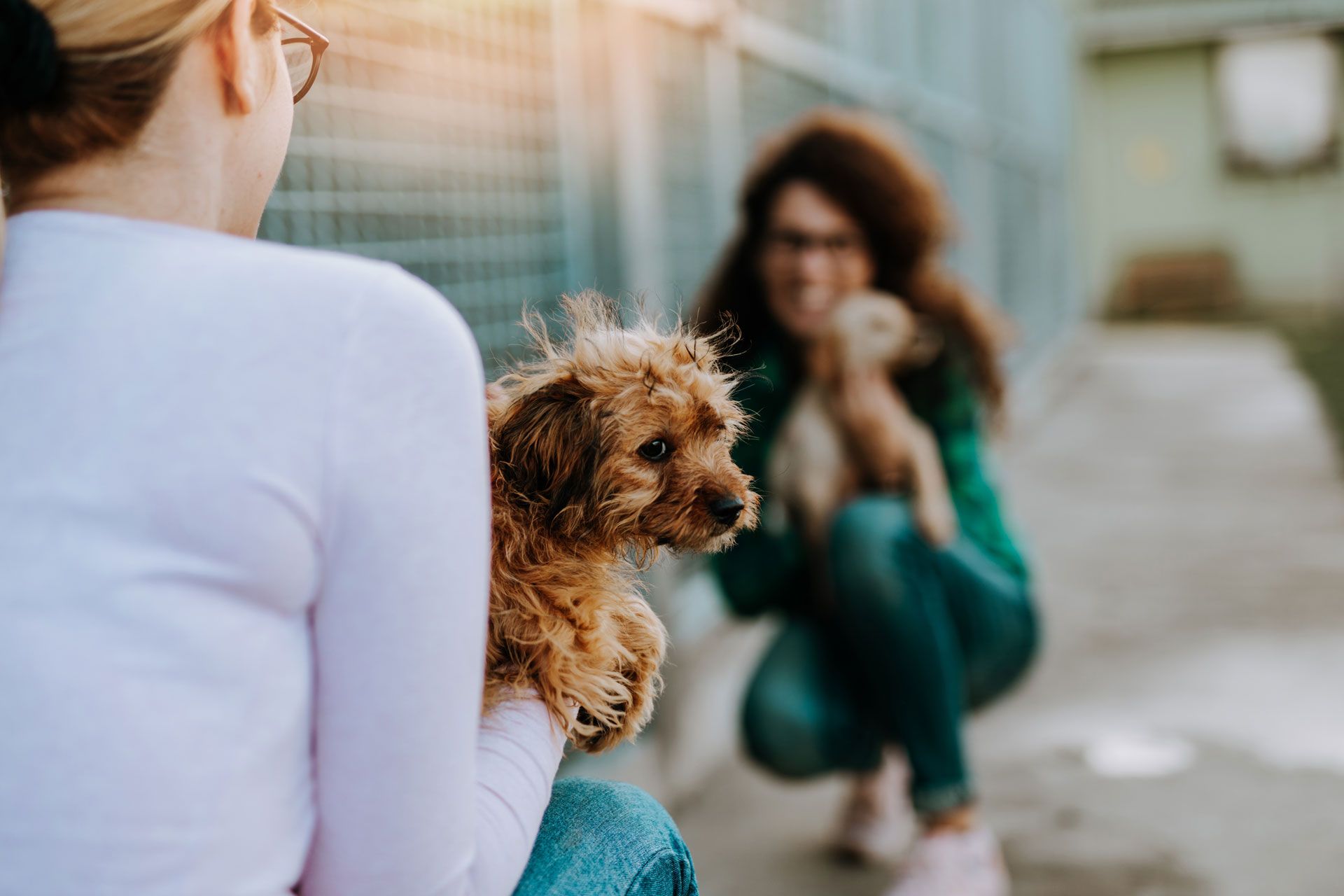 Woman holding a small, brown dog, with another woman holding a dog in the background at an animal shelter.