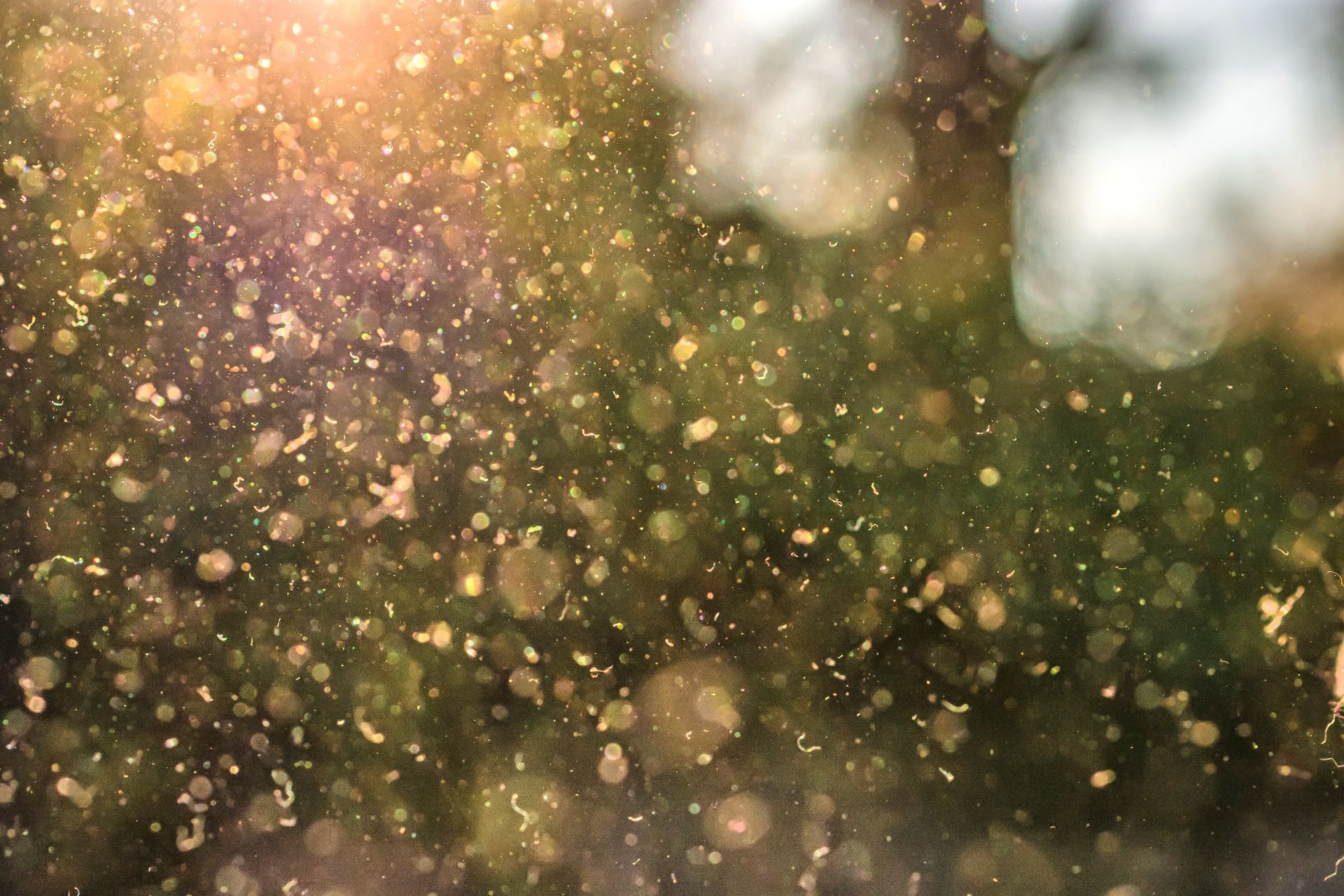 How to Know When to Replace Your HVAC Filter: 5 Warning Signs This Spring