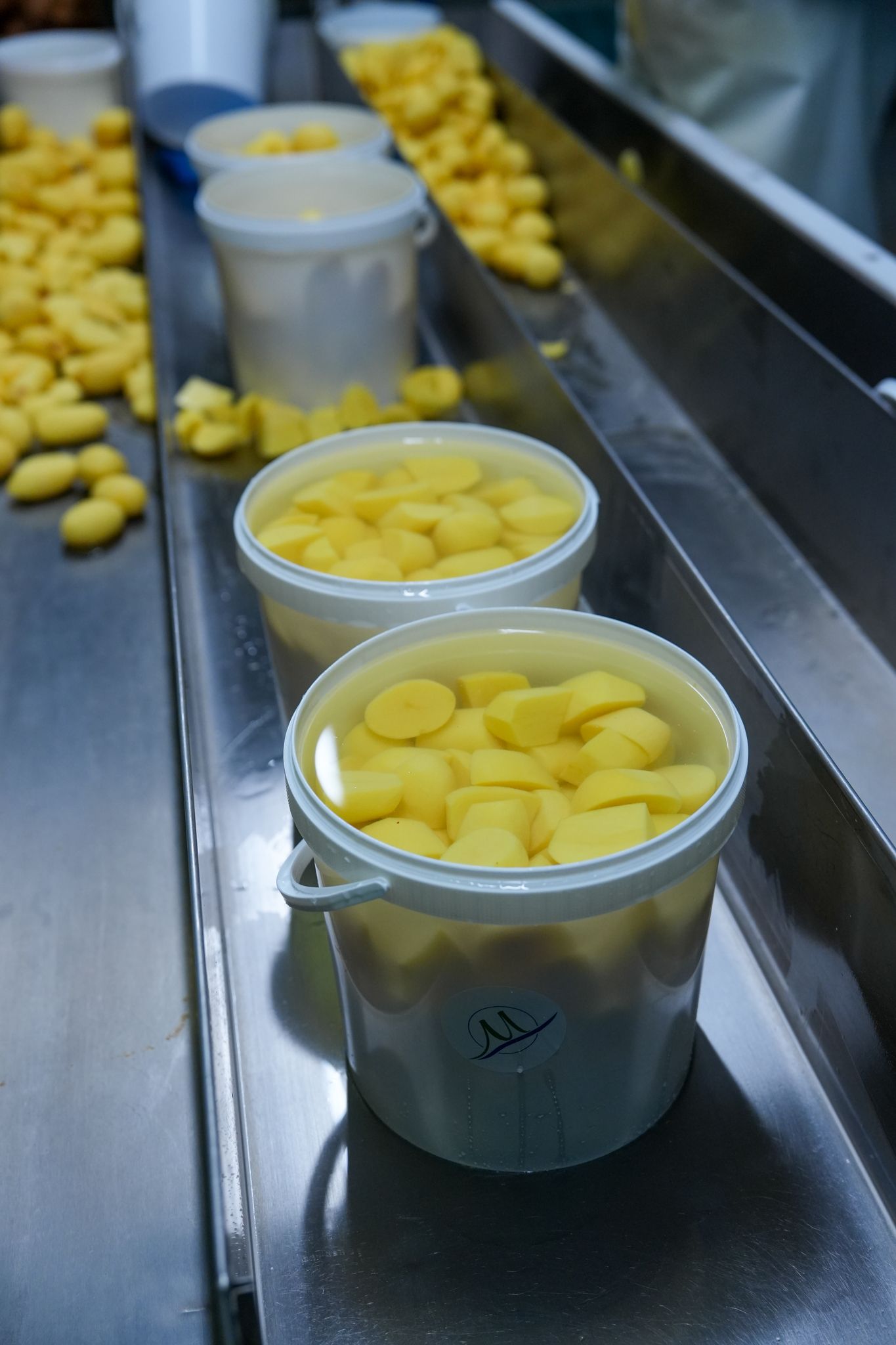 Gelbe Lebensmittel in Eimern auf einem Edelstahl-Förderband.