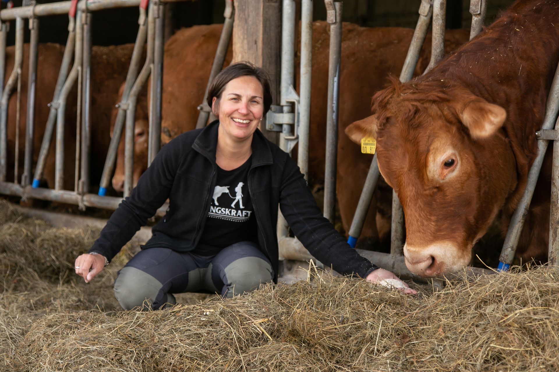 Eine Frau kniet in einer Scheune neben einer braunen Kuh. Sie lächelt und streckt die Hand nach der Kuh aus, um ihr Heu zu reichen.