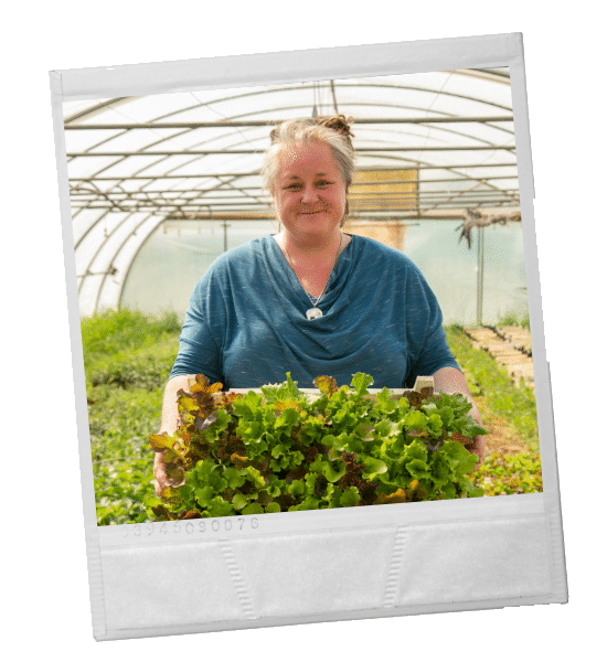 Frau hält eine Kiste mit frischem Salat in einem Gewächshaus.