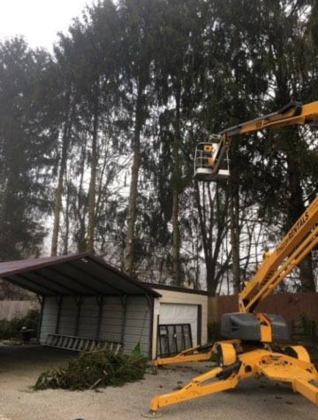 Residential Area Tree Trimming — Hanover, PA — ANCXUS Roofing Solutions