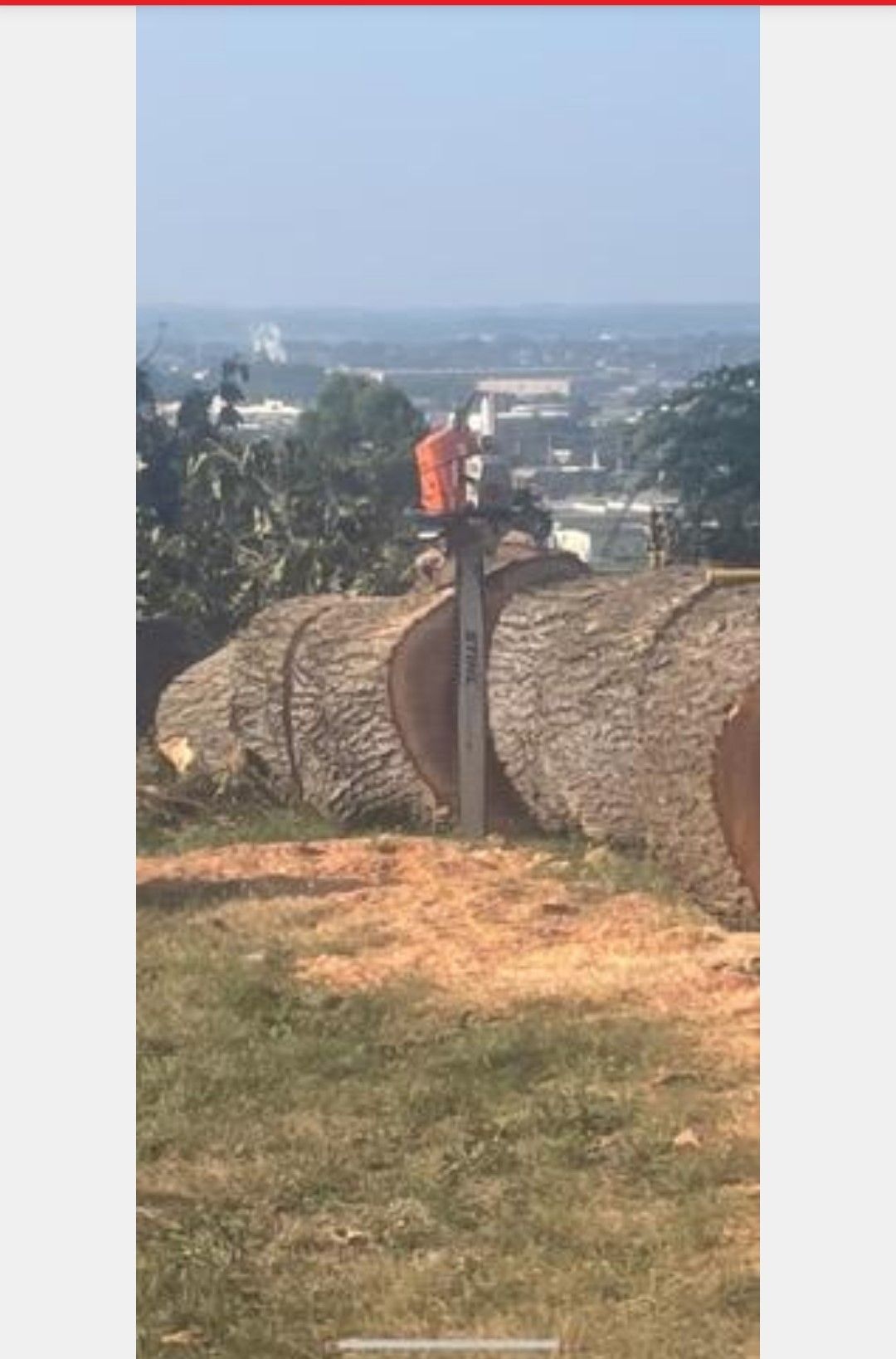 Huge Tree Was Cut Down — Hanover, PA — ANCXUS Roofing Solutions