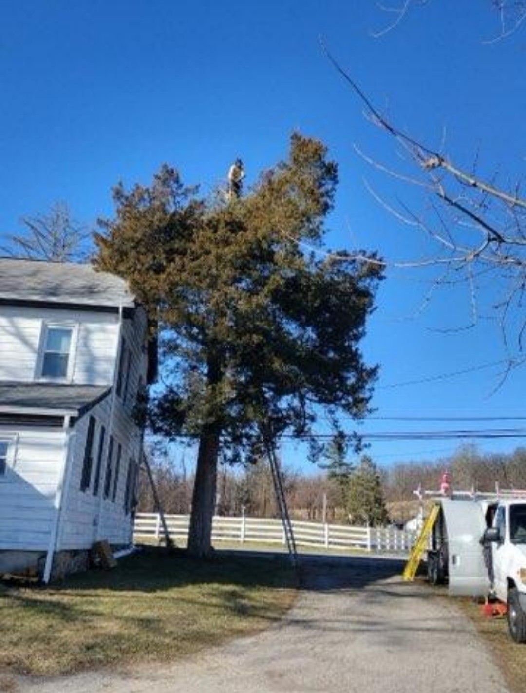 Worker Trimming A tree — Hanover, PA — ANCXUS Roofing Solutions