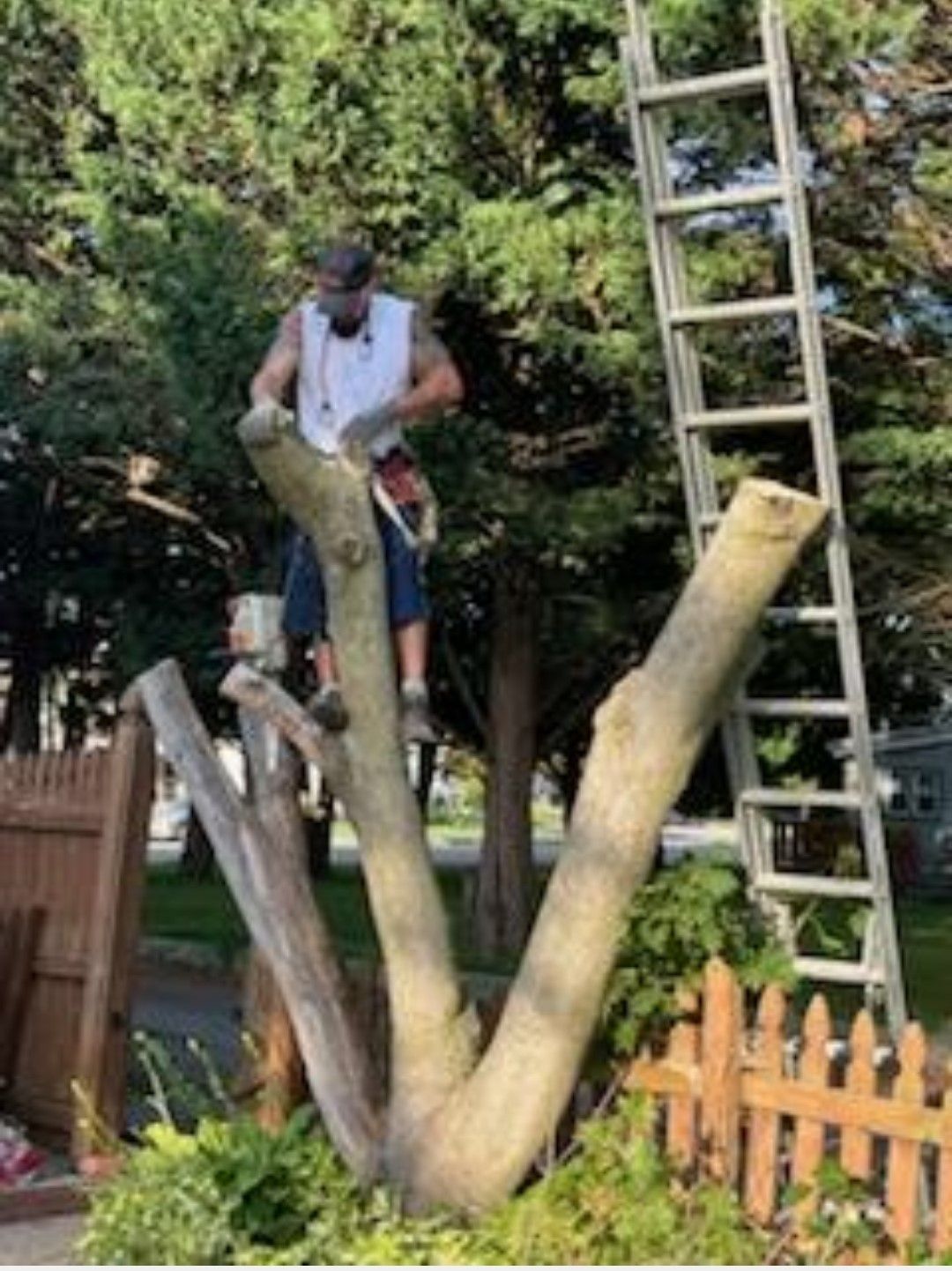 Cutting Down Tree Branch — Hanover, PA — ANCXUS Roofing Solutions
