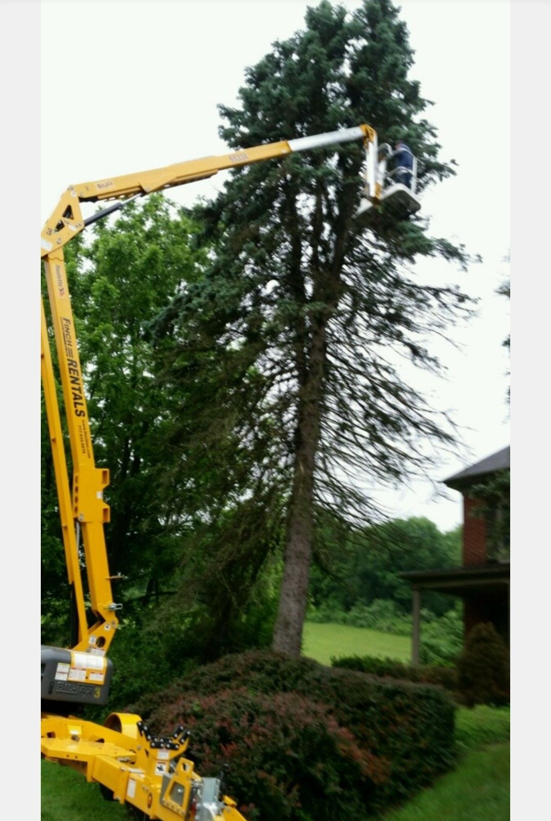 Tree Trimming Process — Hanover, PA — ANCXUS Roofing Solutions