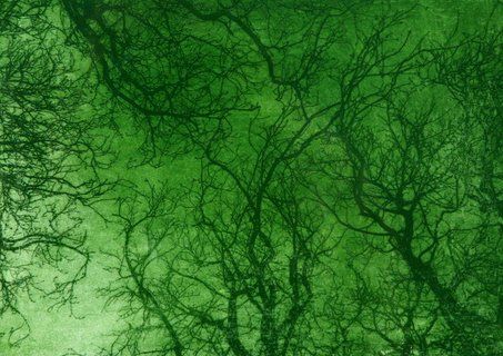 Overhead view of bare tree branches against a bright green sky.