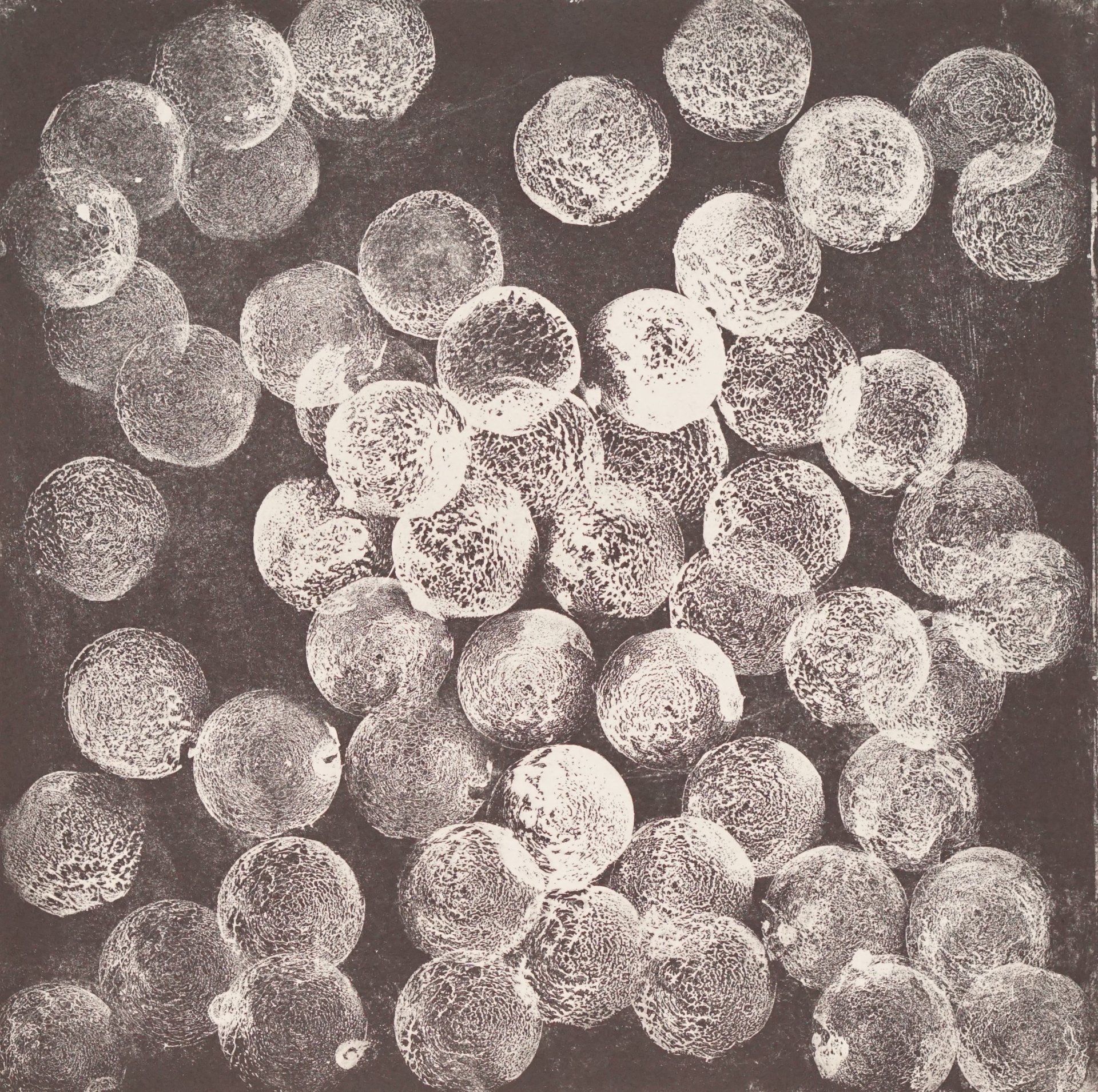 Scattered pile of small, round objects on a dark background; the objects appear to be granular or textured.