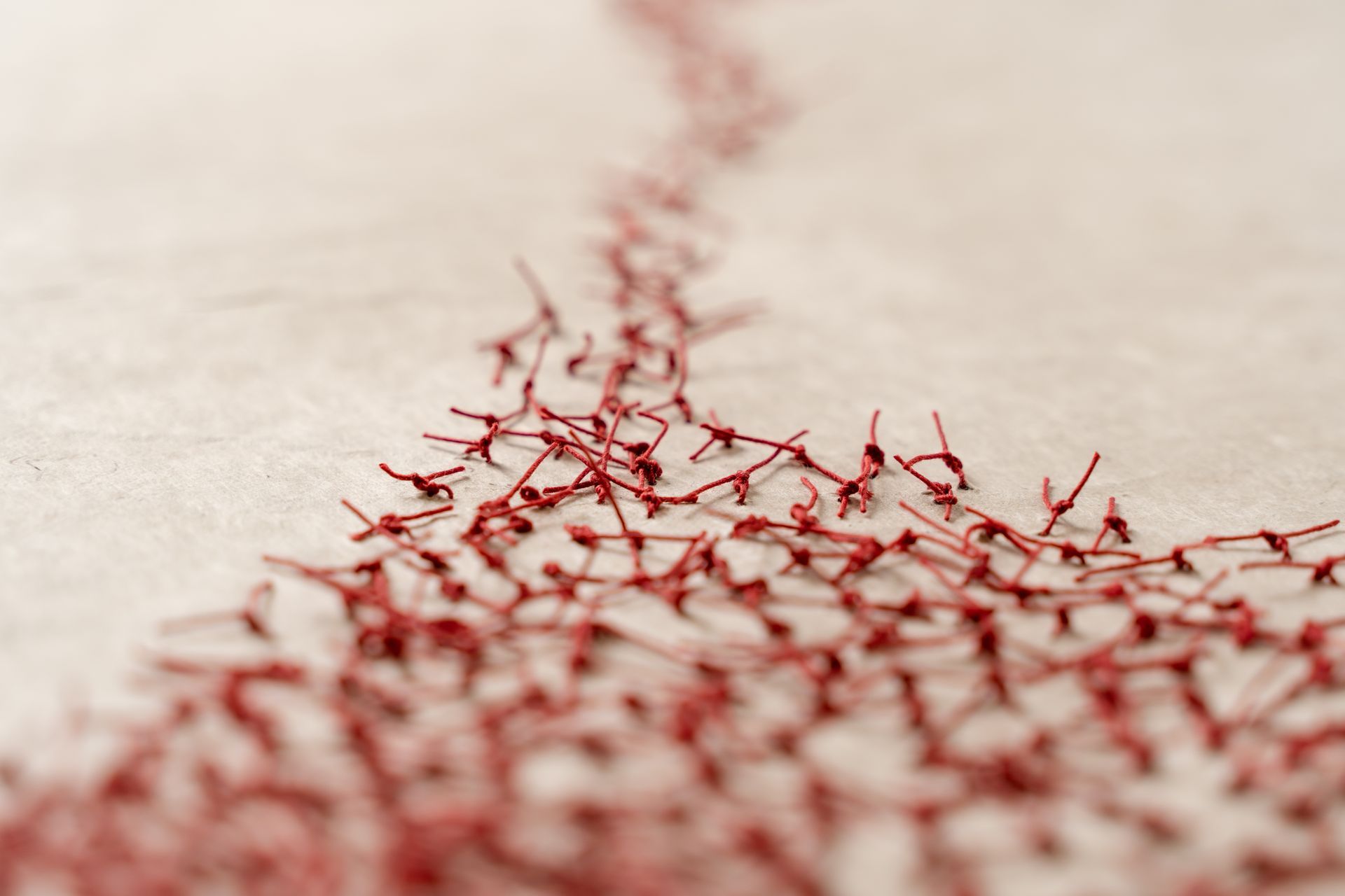 Red thread stitches on tan fabric, forming a branching, organic line.