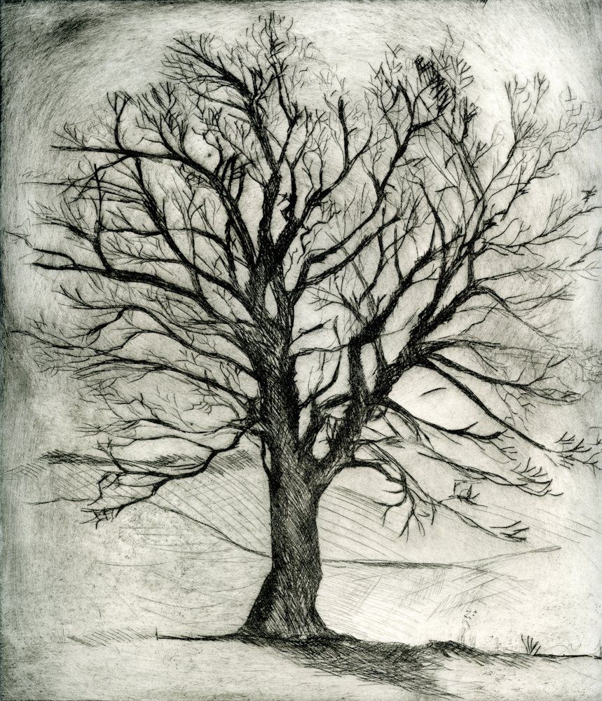 Bare tree silhouetted against a hazy landscape. Black and white etching.